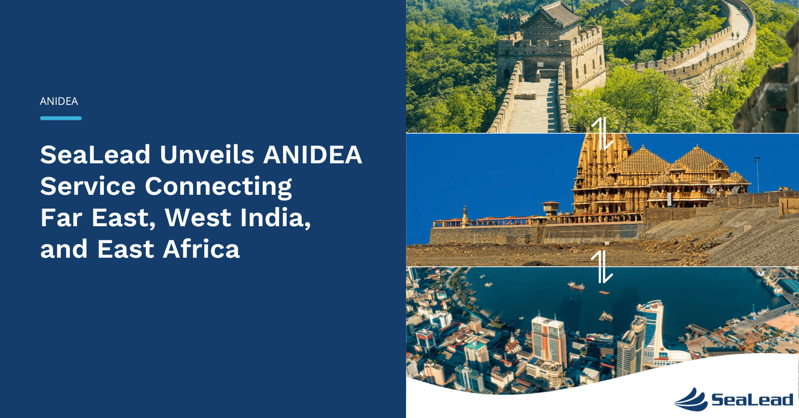 ANIDEA